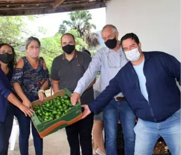Município Faz Entrega de "Cesta Verde" para 300 Famílias